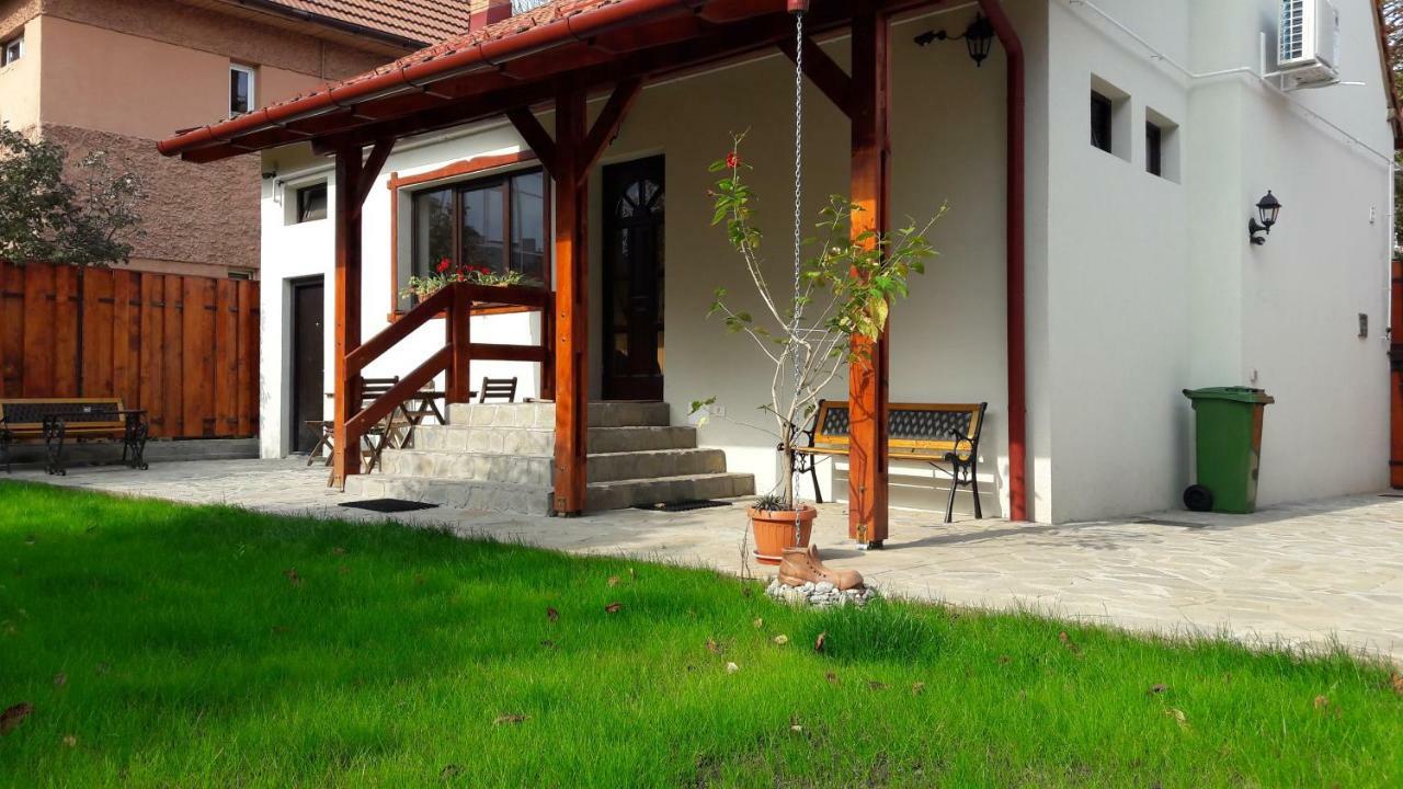 Zozo Hostel Braşov Dış mekan fotoğraf