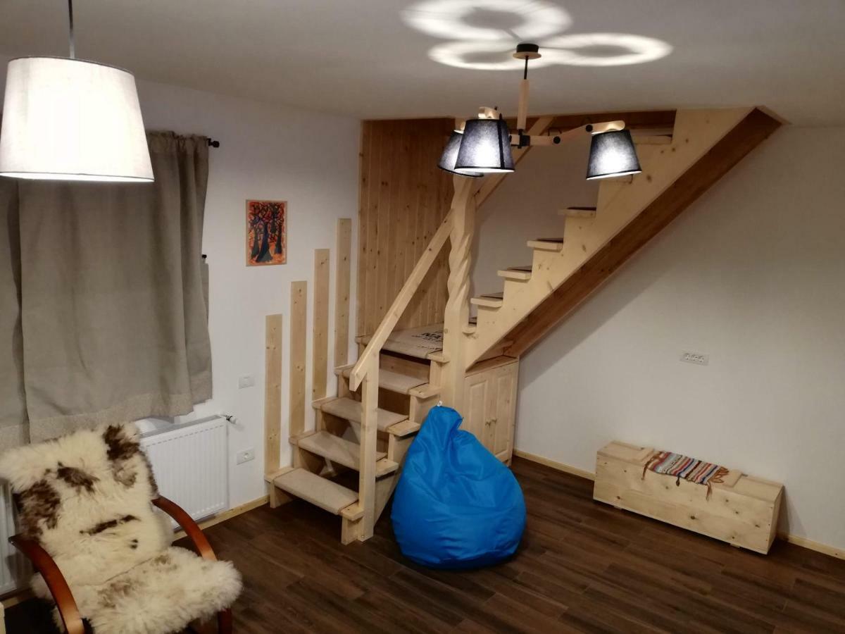 Zozo Hostel Braşov Dış mekan fotoğraf