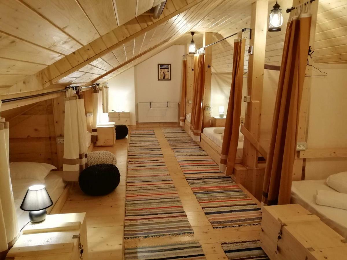 Zozo Hostel Braşov Dış mekan fotoğraf