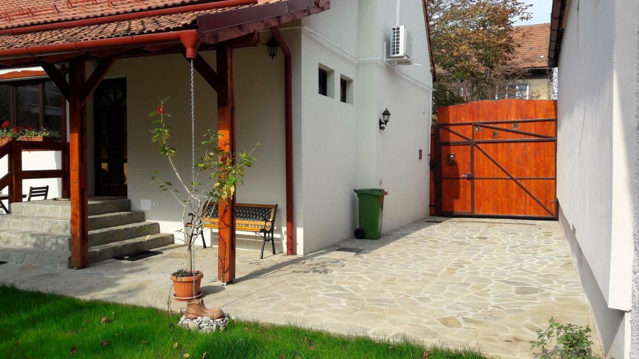 Zozo Hostel Braşov Dış mekan fotoğraf