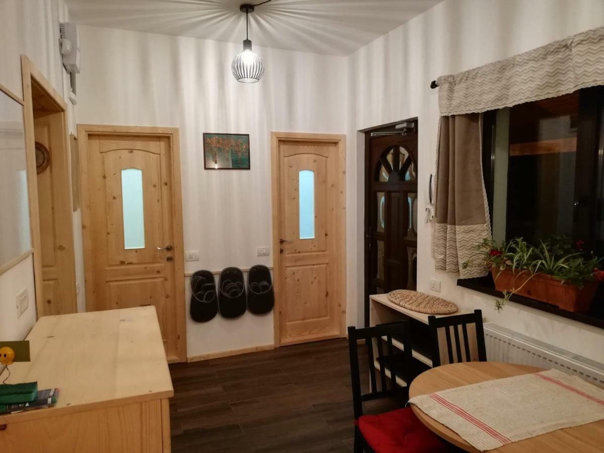 Zozo Hostel Braşov Dış mekan fotoğraf