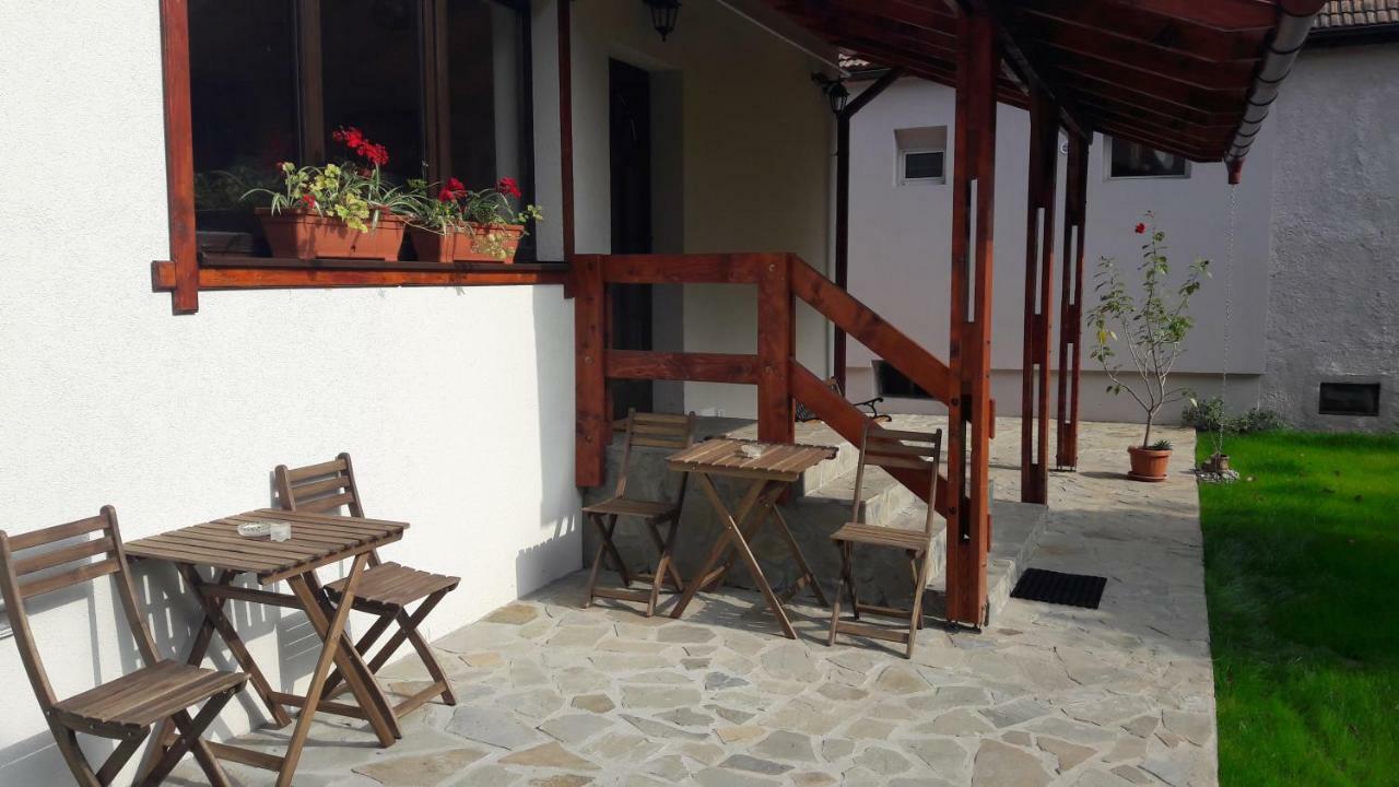 Zozo Hostel Braşov Dış mekan fotoğraf